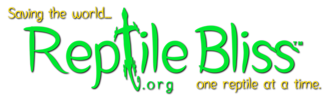Welcome to ReptileBliss.org! - Saving the world... one reptile at a time!